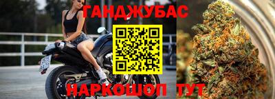 гашик Нальчик