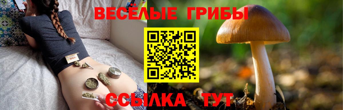 Саров  Галлюциногенные грибы ЛСД  Вход с VPN 